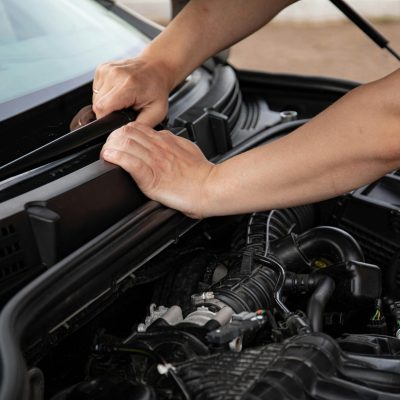 pexels-19x14-8478202